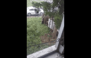 People Are Bold: Dude Talks Crazy To A Random Man After Stopping To Take A Shii In His Yard