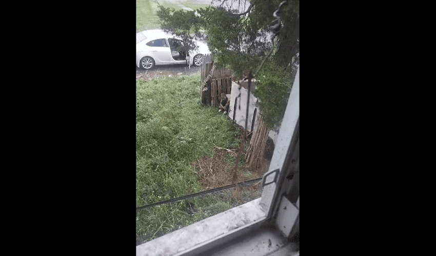 People Are Bold: Dude Talks Crazy To A Random Man After Stopping To Take A Shii In His Yard