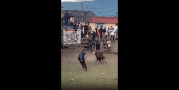 Dude Gets Violated By A Bull!