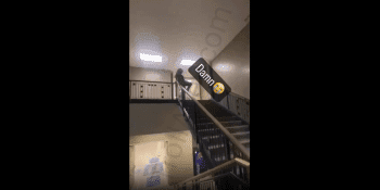 Woman Thought Playing On Stairs Was Safe Until This Happened!