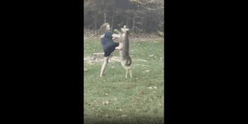 Dude Throws Hands With A Aggressive Deer!