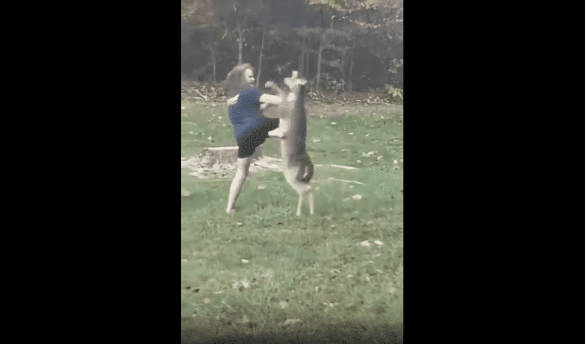Dude Throws Hands With A Aggressive Deer!