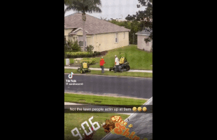 Theses Lawn Workers Out Here Wilding!
