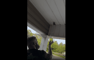 Dude Shows How To Terminate Wasp Nest With Gas!