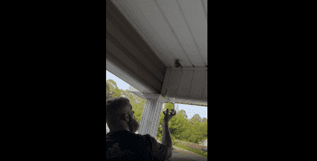 Dude Shows How To Terminate Wasp Nest With Gas!