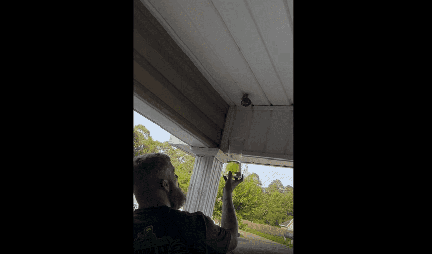 Dude Shows How To Terminate Wasp Nest With Gas!