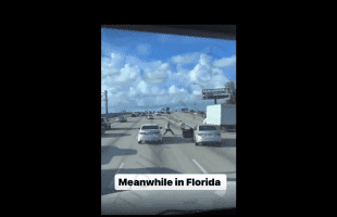 Two Guys Catch A Quick Fade In Florida Traffic During Road Rage And Casually Drives Off!