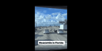 Two Guys Catch A Quick Fade In Florida Traffic During Road Rage And Casually Drives Off!