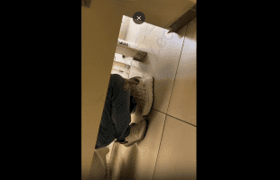 Dude Caught Two Downlow Guys In A Public Restroom And Caught The Giver Coming Leaving!