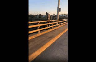 Mental Illness Is Real: Man Tried To Jump From Interstate After He Got Tired Of Being Homeless