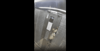 Little Boy Gets Scared After He Piss On Elevator And Got Scared When It Malfunctioned