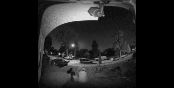 Neighbors Caught A Toxic Couple Caught On Security Camera And This Happened!