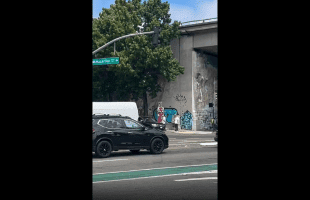 Guy Walking His Dog Gets Beatdown With A Stick For Disrespecting A Guy In Traffic