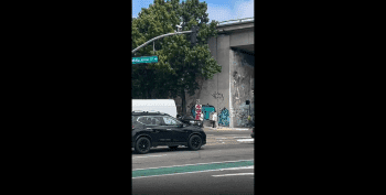 Guy Walking His Dog Gets Beatdown With A Stick For Disrespecting A Guy In Traffic