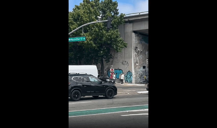 Guy Walking His Dog Gets Beatdown With A Stick For Disrespecting A Guy In Traffic