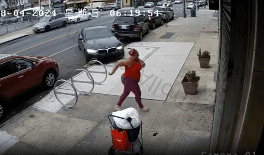 Woman Tried Her Best To Escape Speeding Car In New York But Didn’t Make It