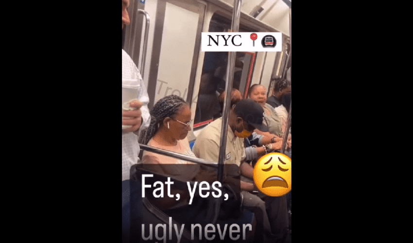 You The One Need Some D: Woman Goes On A Angry Woman That Tried To Check Her On The Train