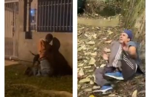 Dude Gets Beaten By Community After  He Was Caught Sessually Assaulting A Dog