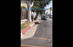 Crip Member Jumped Out A Car And Beats A Man After He Caught Him Wacking Off Infront Of A School With Kids