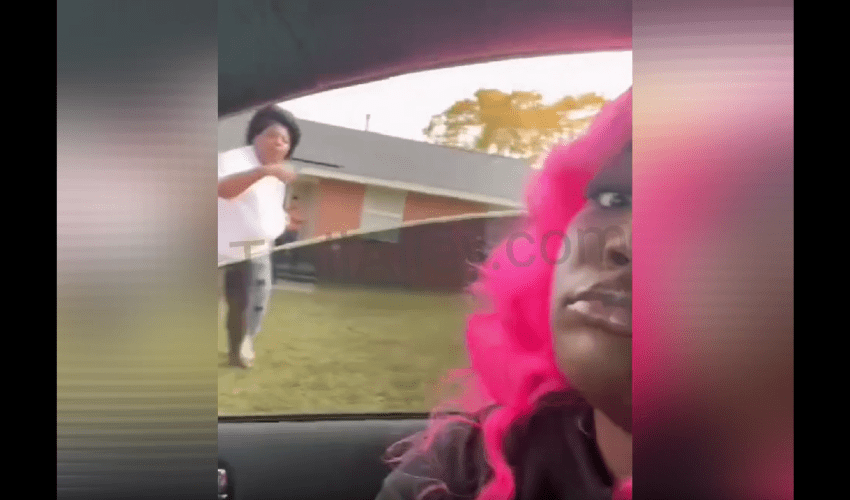 Girl Gets Her Wig Snatched Off After She Pulled Up To Troll A Woman She Had Problems With