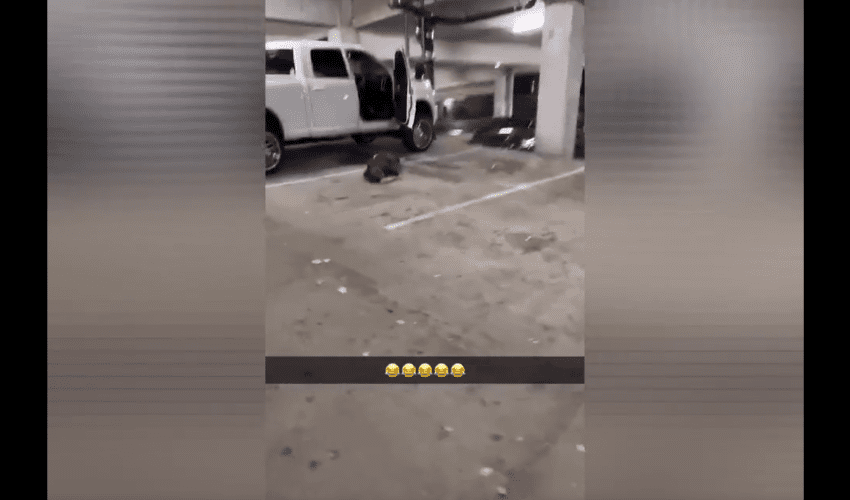 Man Randomly Helped A Drunk Guy That Was Stretched Out So He Wouldn’t Get Arrested