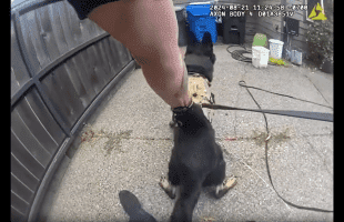 k9 Officer Found Suspect In Trash Can With No Clothes On