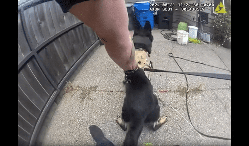 k9 Officer Found Suspect In Trash Can With No Clothes On