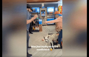 Woman Gets Mad Put Her Dog On Employees After She Caught Stealing A Bag Of Candy