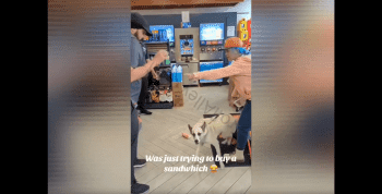 Woman Gets Mad Put Her Dog On Employees After She Caught Stealing A Bag Of Candy