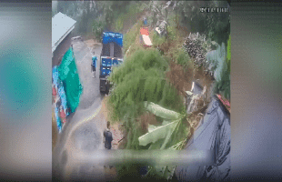 Dude Started A Massive Landslide After Cutting Down A Couple Branches