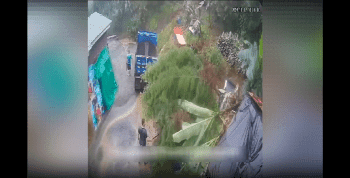 Dude Started A Massive Landslide After Cutting Down A Couple Branches