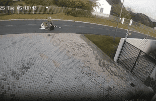 Dude Armed With A Panga Ranned Down On A Elderly Couple That Was Walking And Took Their Hats