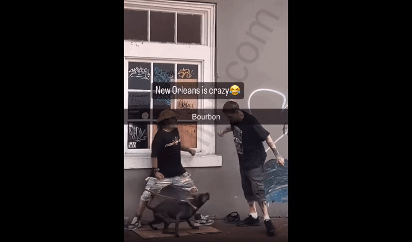 Dude Gets Jumped By Owner And His Dog After He Punched His Dog!