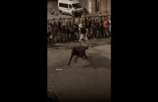 When Showing Your Azz To A Bull Goes Wrong!