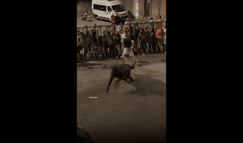 When Showing Your Azz To A Bull Goes Wrong!