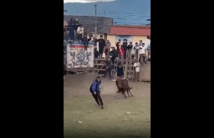 Dude Gets Violated By A Bull!