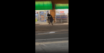 Dude Gets Pepper Sprayed Multiple Times After He Kept Running Up With A Stick!