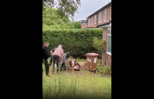 People Couldn’t Save A Guy From Getting Attacked By A Dog!