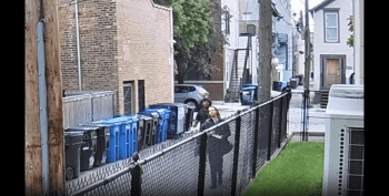 Dude Gets Beat Up And Robbed In Broad Daylight In Chicago!