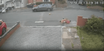 10 Year Old Boy Mauled By Dog In Front Of His Home!