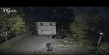 Woman Screams For Her Life After She Was Robbed And Carjacked At Gunpoint In Chicago!