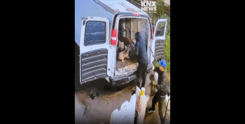 Thieves Caught On Camera Stealing French Bulldogs Worth More Than 100,000 Dollars!