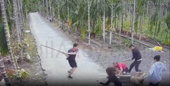 Chinese Families Do Not Play Around When It Comes To Working Together!