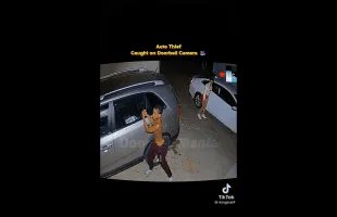 Snowbunny Out Here Breaking In Cars With The Kia Boys!