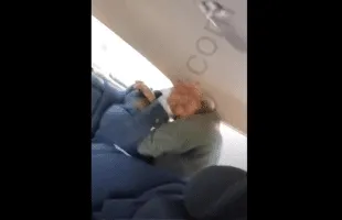 Two Friends Goes At It In The Backseat In Traffic!