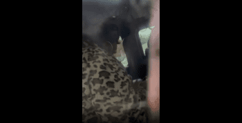 Woman Caught Her Husband Getting Some Cheeks From Another Woman In Her Work Jeep!