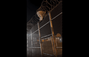 Dude Caught A Guy Escaping Prison Thru Barbed Wire Fence!