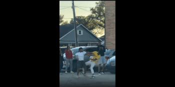 Dog Wanted In On The Action!