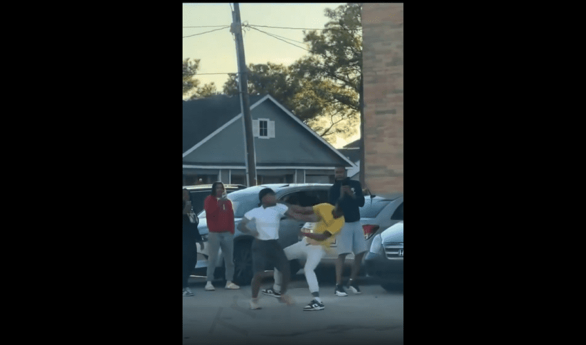 Dog Wanted In On The Action!