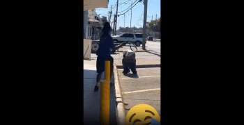 Owner Teach A Guy A Lesson For Having His Pants Down In Front Of His Place Of Business!